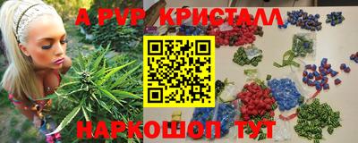стафф Малоярославец