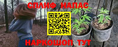 стафф Малоярославец