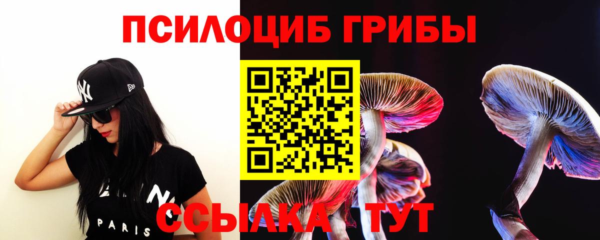 Галлюциногенные грибы MAGIC MUSHROOMS Будённовск